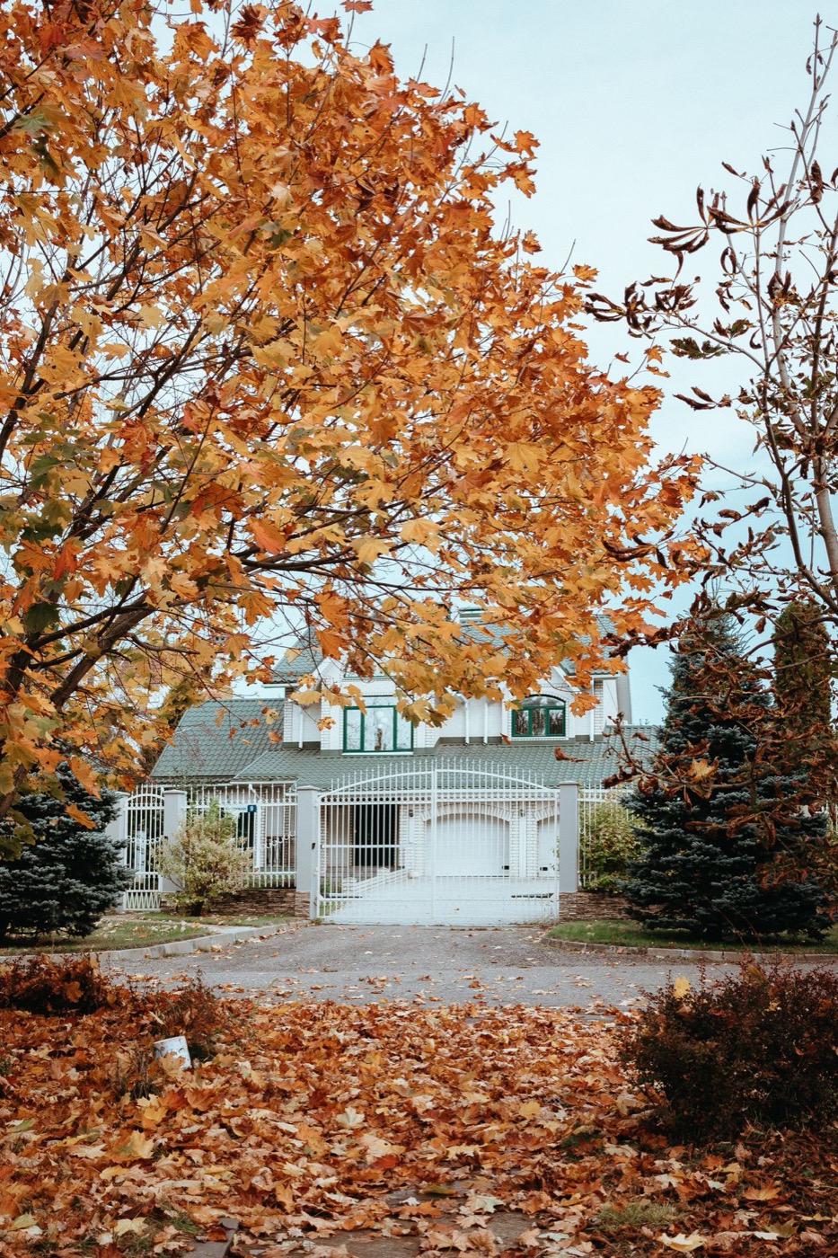 Autumn leaves outside a house