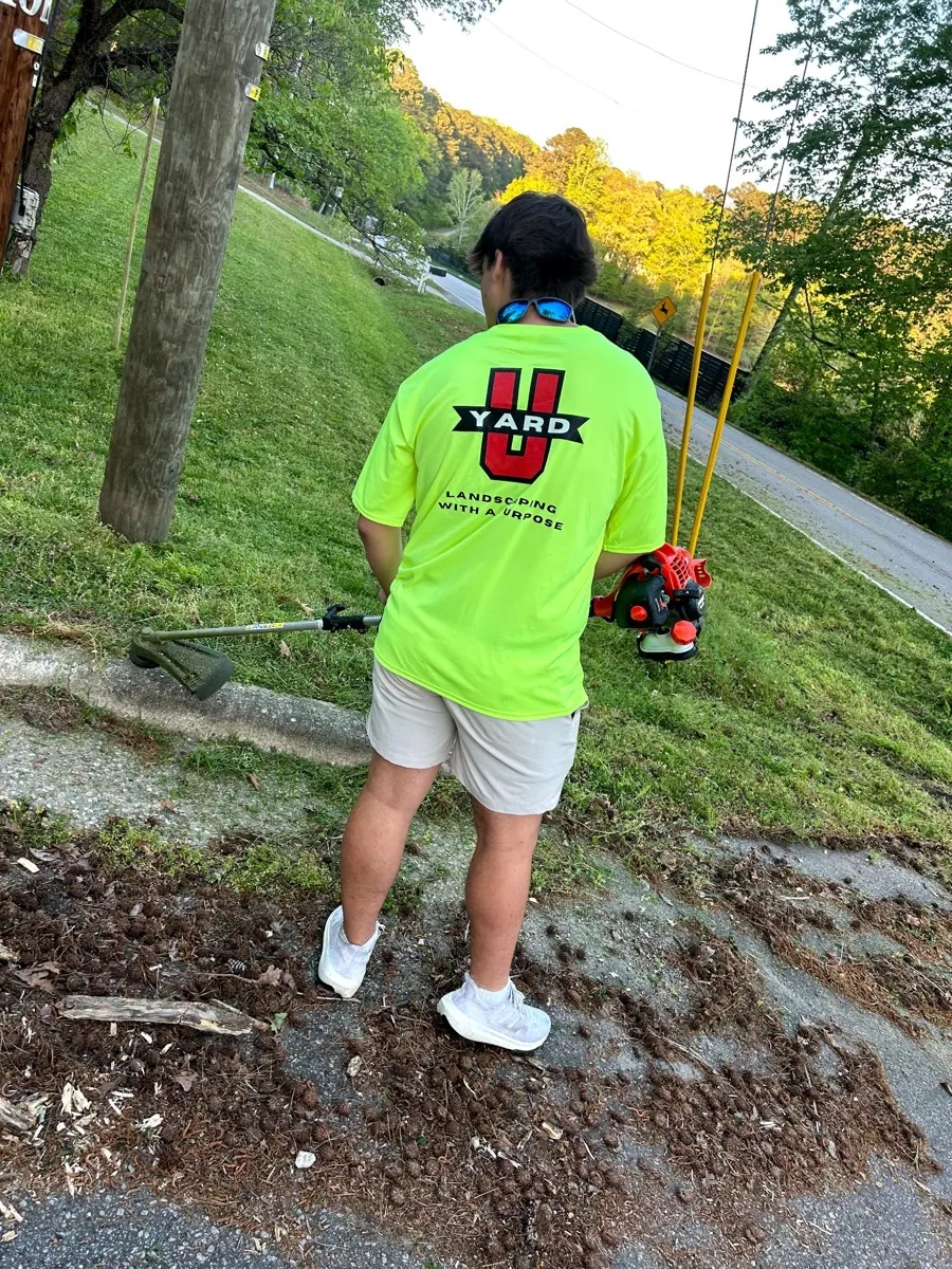 YardU lawn care in progress