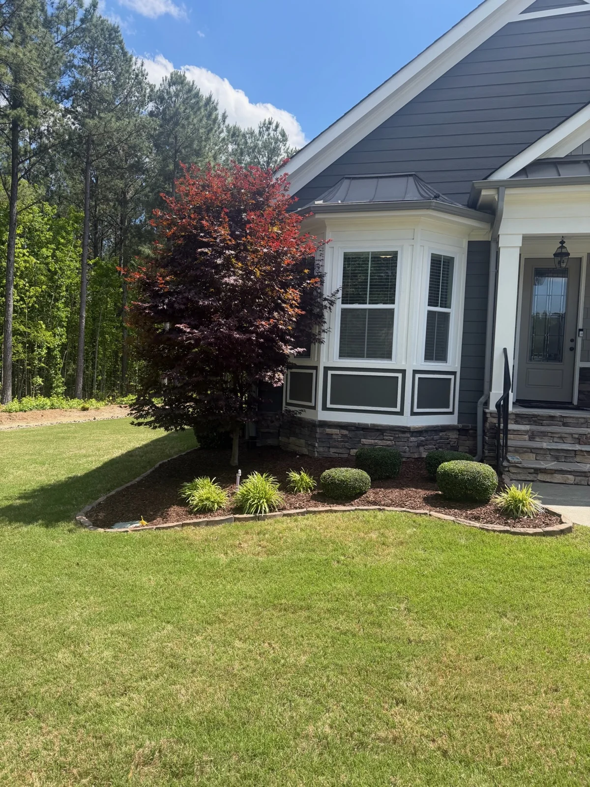 A front lawn meets a curved bed with shrubs and a Japanese maple. YardU project photo.