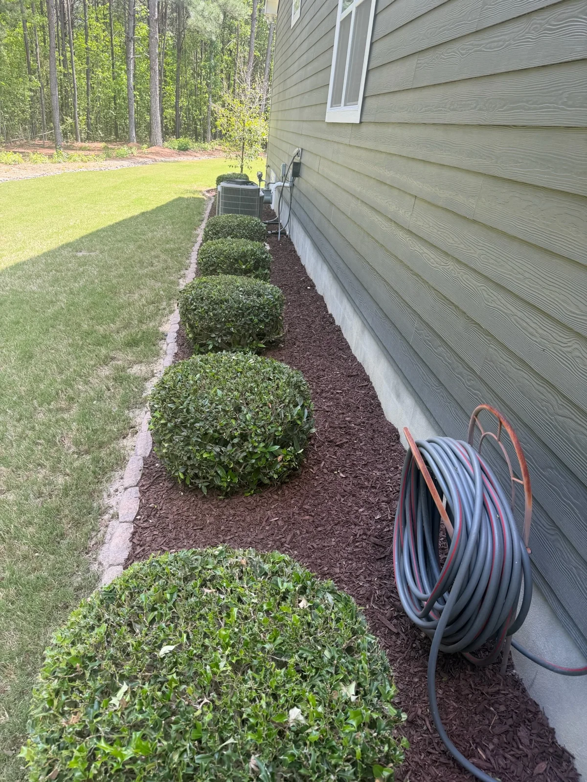 Trimmed shrubs sit in a narrow planting bed along the side of a house. YardU project photo.