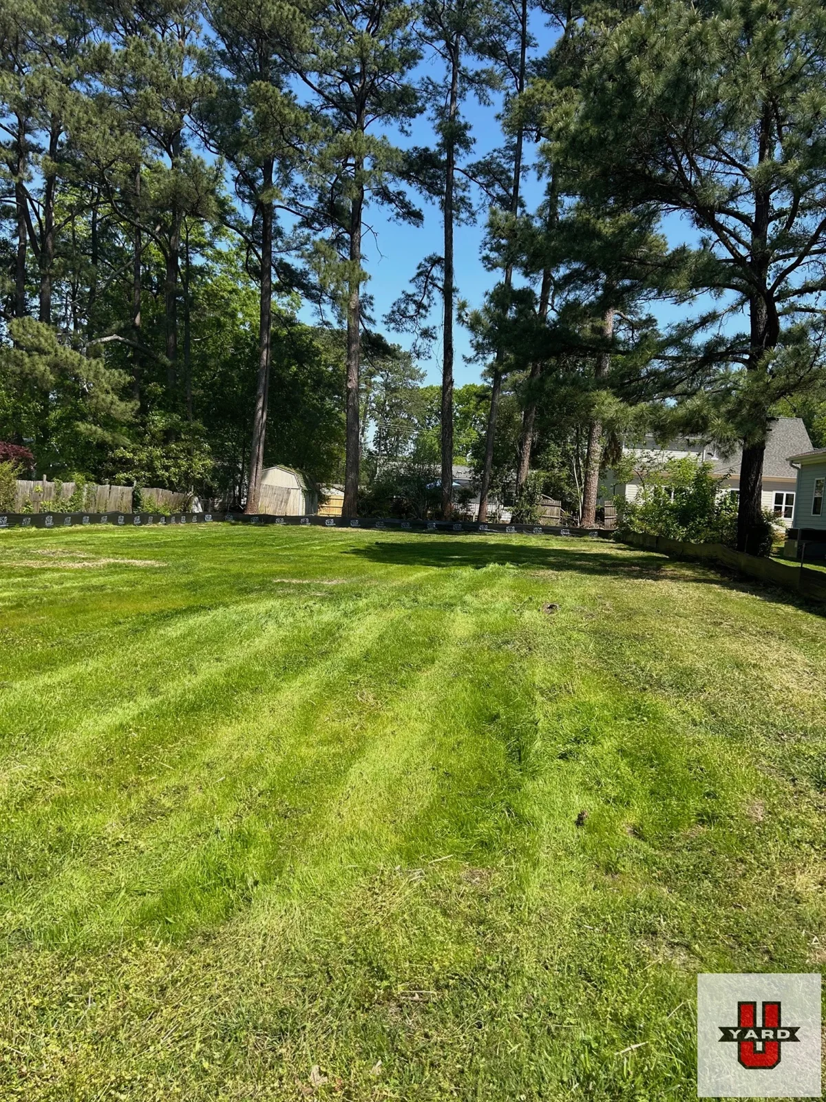 Alternating mowing stripes cross a green lawn surrounded by mature trees. YardU project photo.